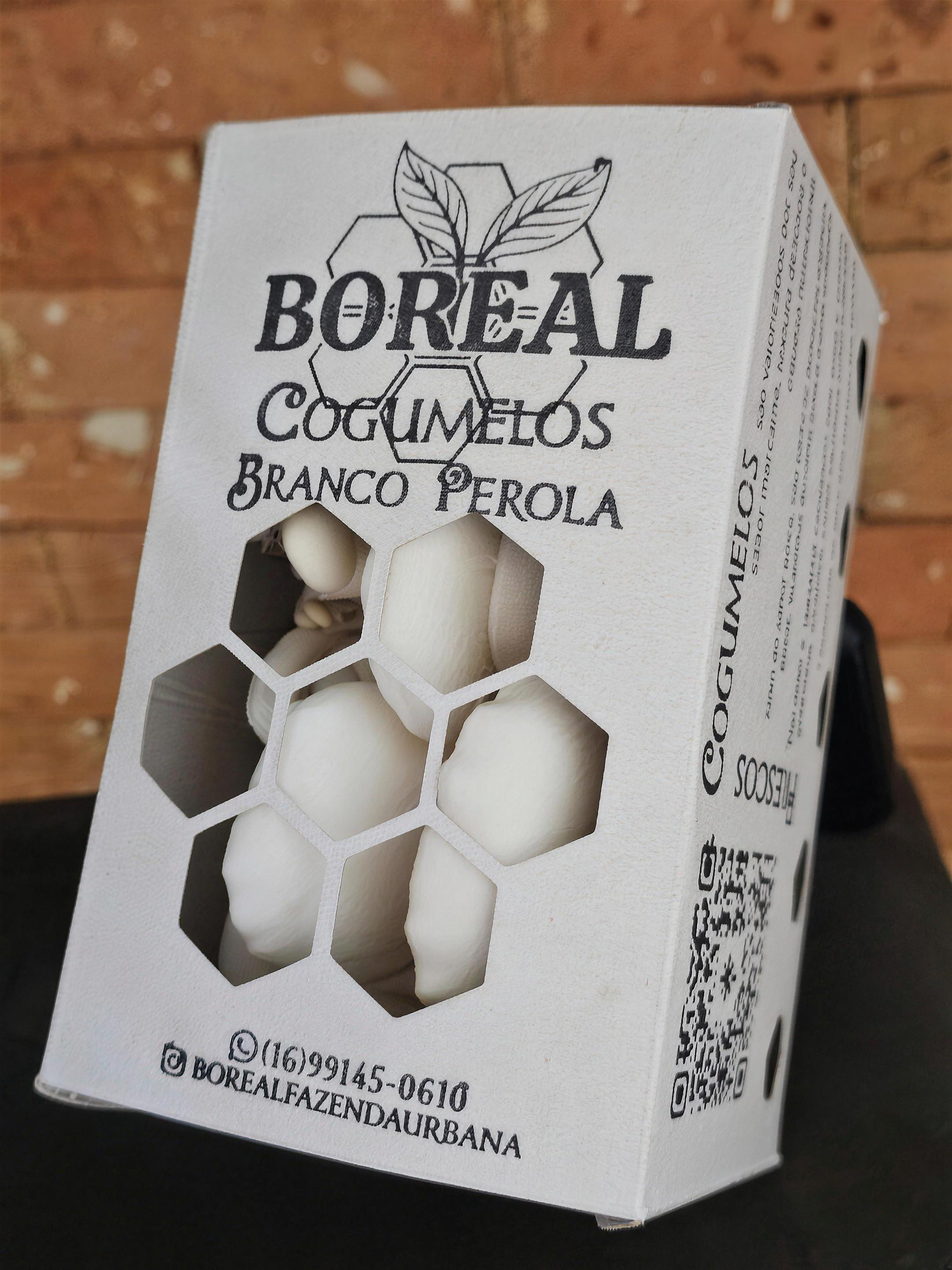 Caixinha Boreal com cogumelos gourmet
